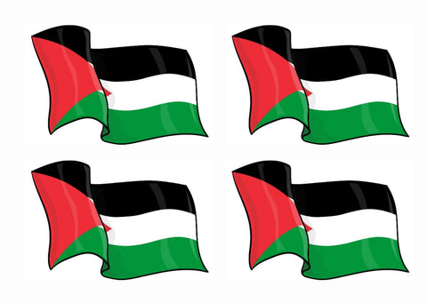 Palestine sticker - flag